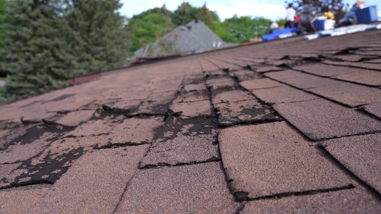Best Emergency Roof Repair Services  in Louise, TX
